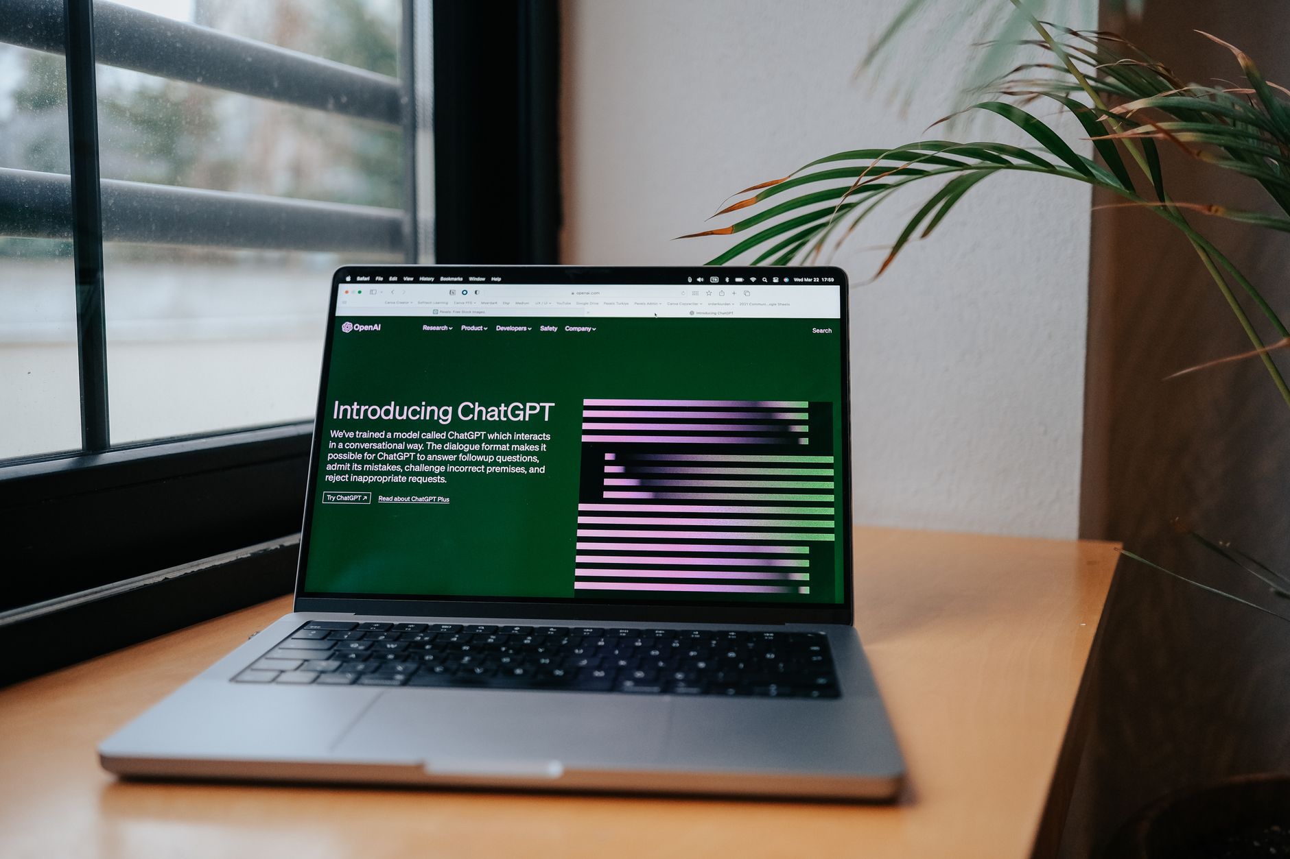 ChatGPT for small business owners beginners guide, photo by Hatice Baran