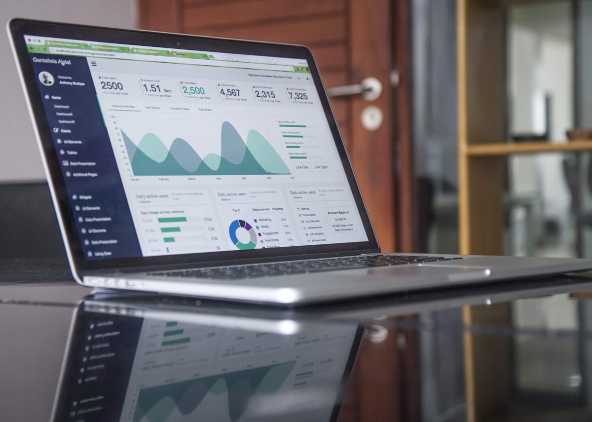 Business owner reviewing website analytics on a laptop